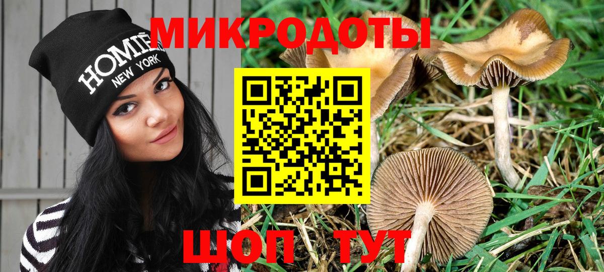 Канаш  Галлюциногенные грибы мухоморы  Вход с VPN 